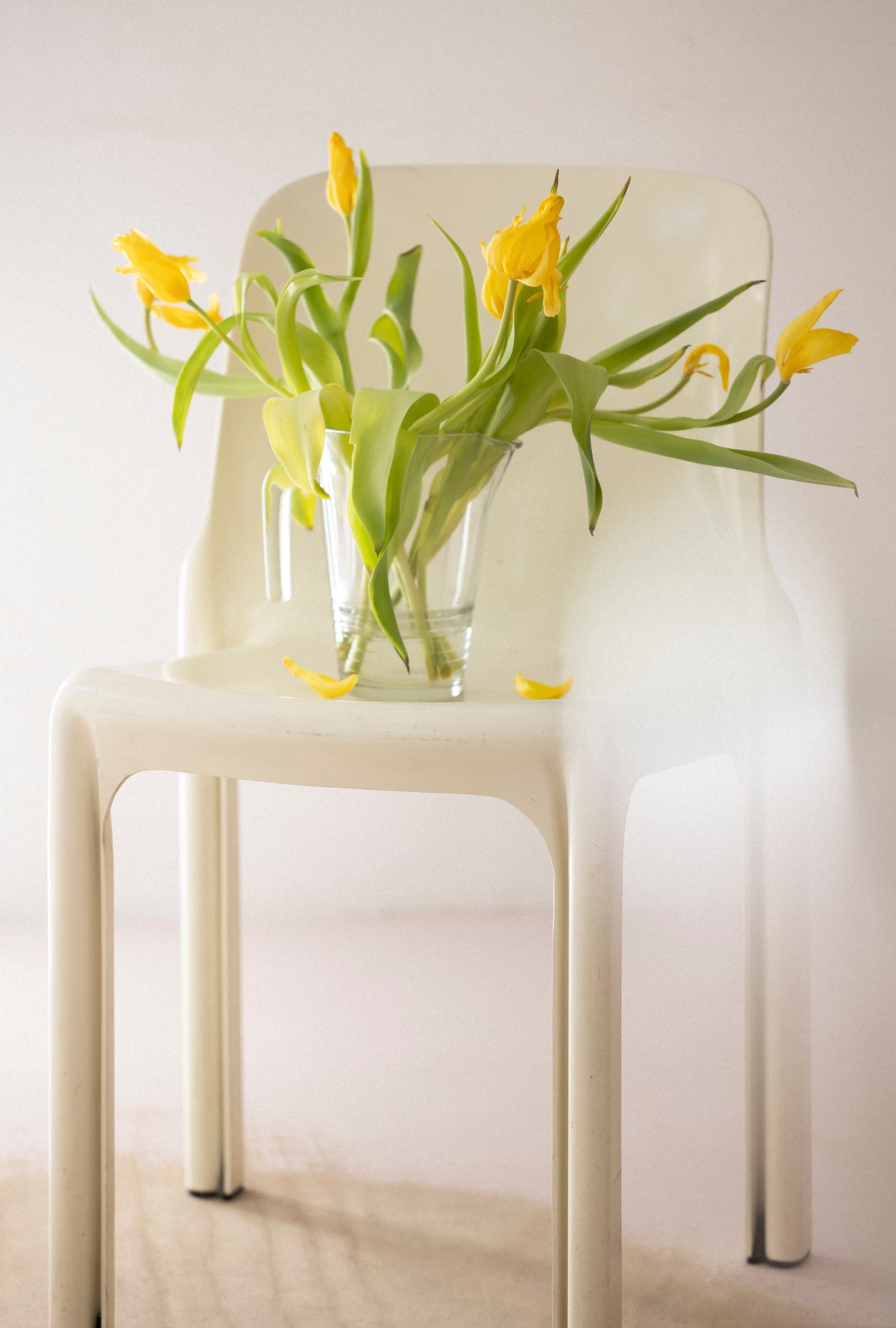 Balistraat, stool with tulips